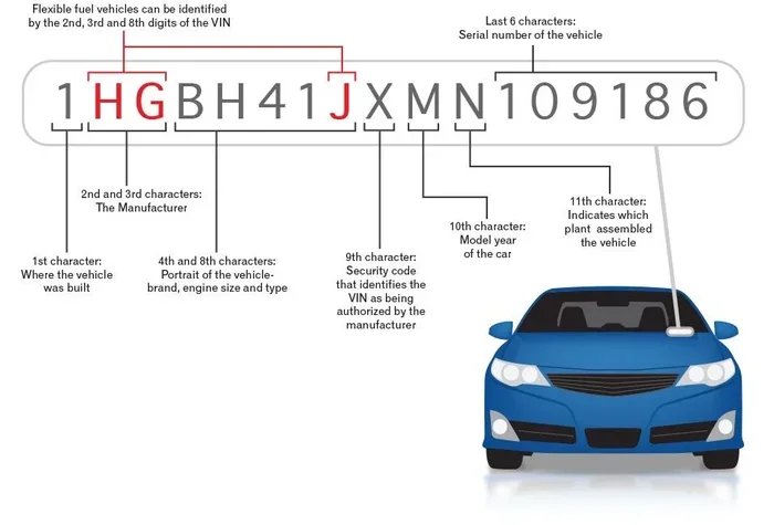Can I Check My VIN Online And What You Should Know