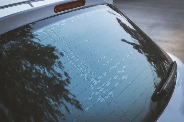 Nebraska Window Tint Law What You Need to Know in 2025