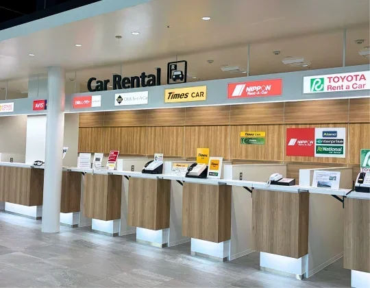 Can You Rent a Car With Cash Yes You Absolutely Can